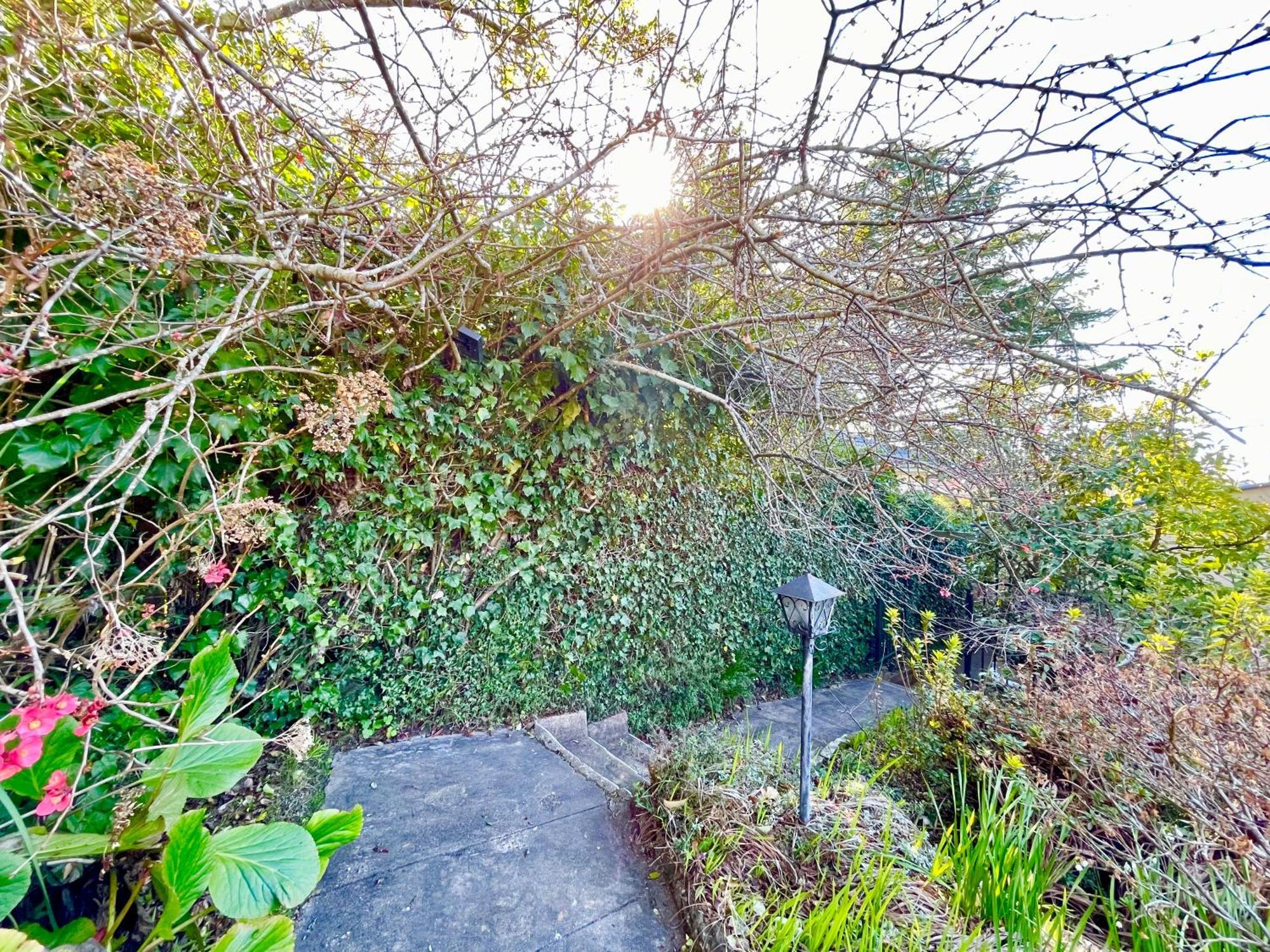 Raspberry Terrace Of Leura Villa Eksteriør bilde